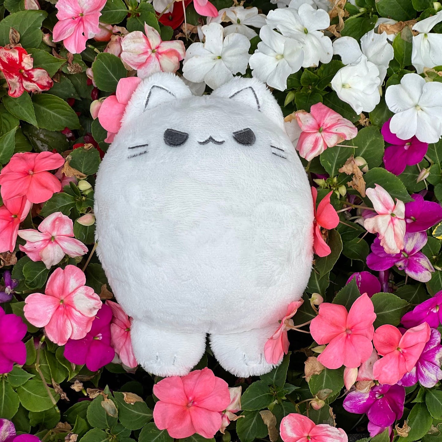 Eggcat Plush