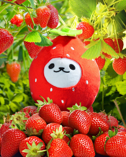 Strawberry Eggdog Plush