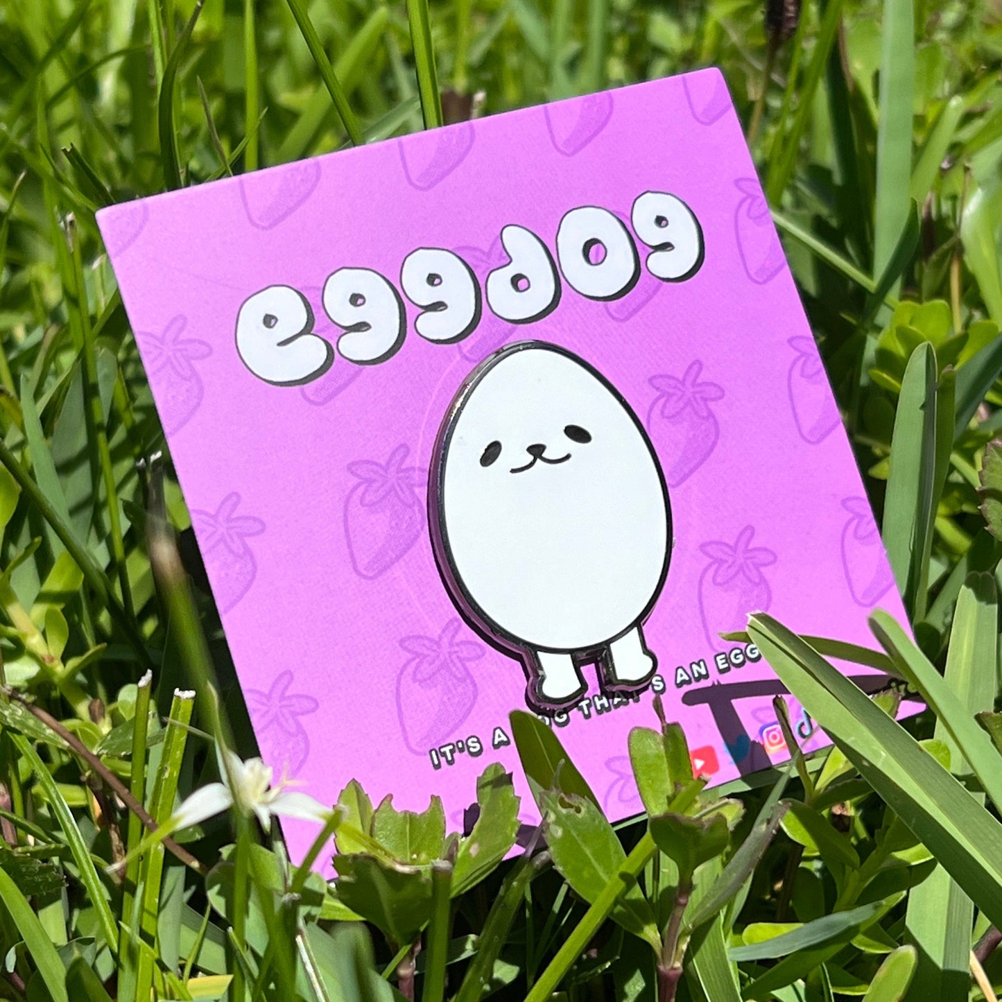 eggdog pin